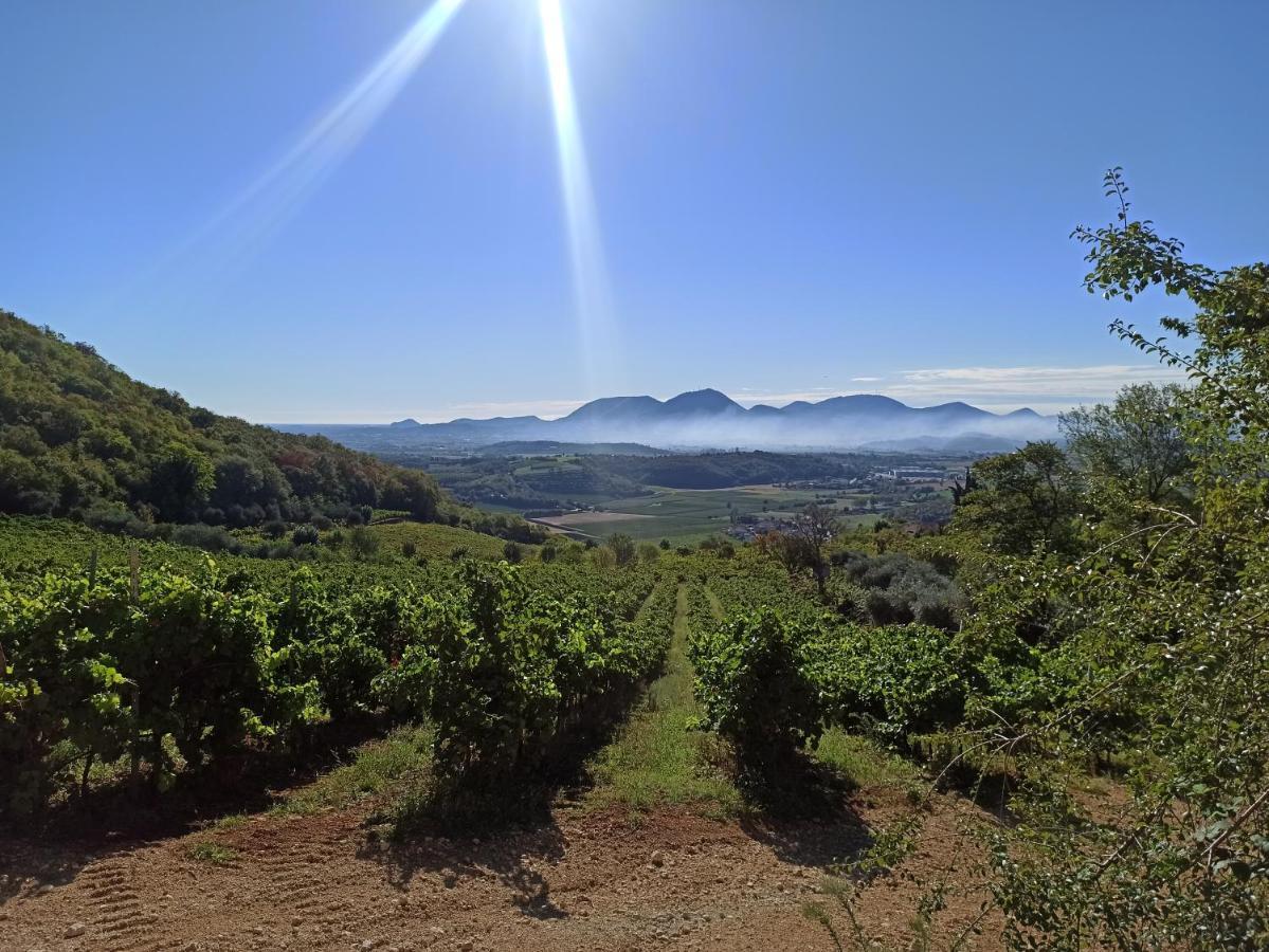 Alloggio La Perla, Quiete Ed Eleganza Con Vista Barbarano Vicentino Eksteriør bilde