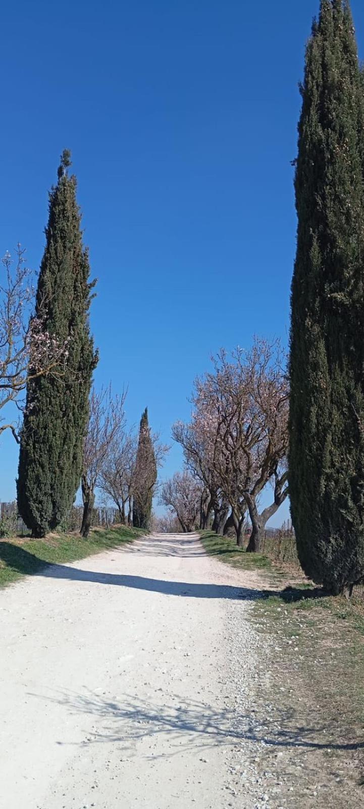 Alloggio La Perla, Quiete Ed Eleganza Con Vista Barbarano Vicentino Eksteriør bilde
